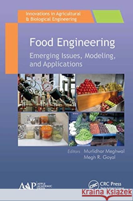 Food Engineering: Emerging Issues, Modeling, and Applications Murlidhar Meghwal Megh R. Goyal 9781774636206 Apple Academic Press - książka