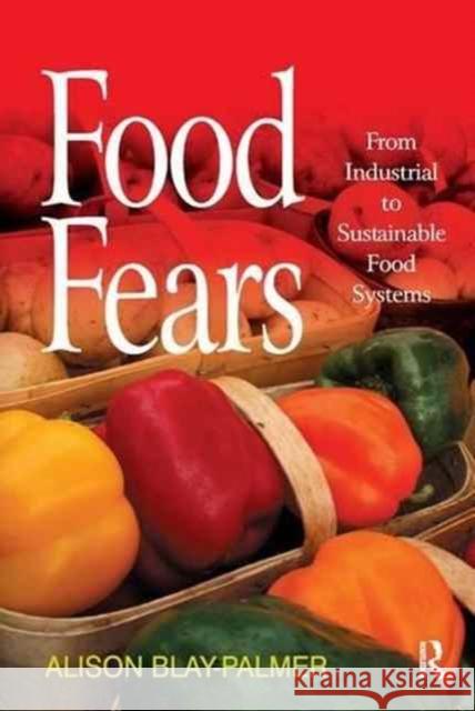 Food Fears: From Industrial to Sustainable Food Systems Alison Blay-Palmer 9781138266261 Routledge - książka