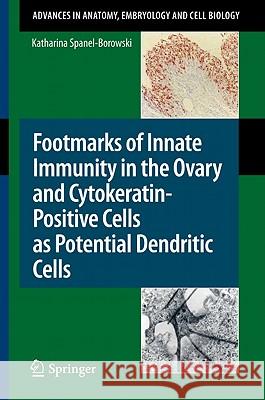 Footmarks of Innate Immunity in the Ovary and Cytokeratin-Positive Cells as Potential Dendritic Cells Katharina Spanel-Borowski 9783642160769 Not Avail - książka