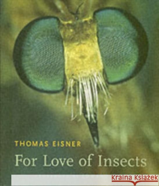 For Love of Insects Thomas Eisner 9780674018273 Belknap Press - książka