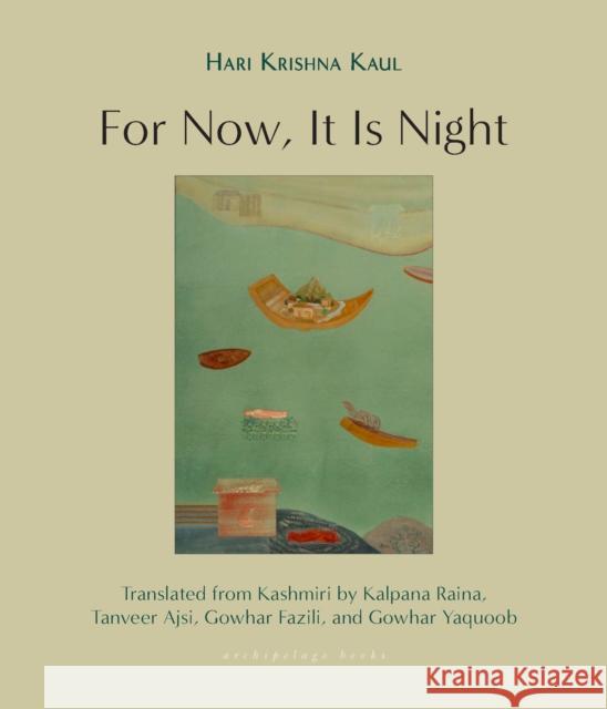 For Now, It Is Night: Stories Tanveer Ajsi 9781953861788 Archipelago Books - książka