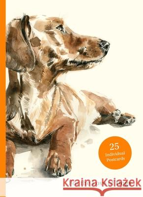 For the Love of Dogs: 25 Postcards Ana Sampson 9781399600156 Orion Publishing Co - książka