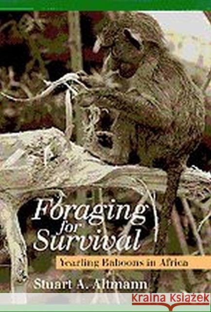 Foraging for Survival: Yearling Baboons in Africa Stuart A. Altmann 9780226015958 University of Chicago Press - książka