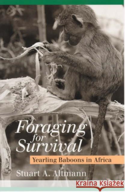 Foraging for Survival: Yearling Baboons in Africa Stuart A. Altmann 9780226015965 University of Chicago Press - książka