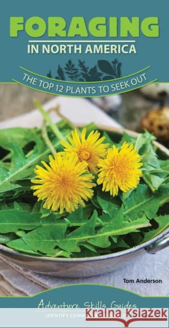 Foraging in North America: The Top 12 Plants to Seek Out  9781591938323 Adventure Publications - książka