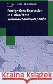 Foreign Gene Expression in Fission Yeast: Schizosaccharomyces Pombe Giga-Hama, Yuko 9783540632702 Springer Berlin Heidelberg - książka