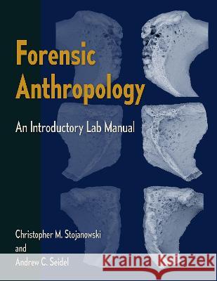 Forensic Anthropology: An Introductory Lab Manual Christopher M. Stojanowski Andrew C. Seidel 9781683403562 University of Florida Press - książka