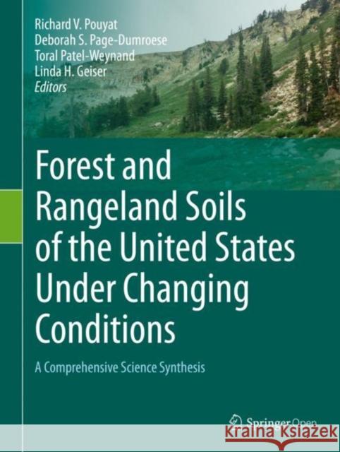 Forest and Rangeland Soils of the United States Under Changing Conditions: A Comprehensive Science Synthesis Pouyat, Richard V. 9783030452155 Springer - książka