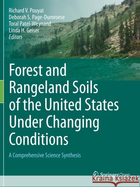 Forest and Rangeland Soils of the United States Under Changing Conditions: A Comprehensive Science Synthesis Richard V. Pouyat Deborah S. Page-Dumroese Toral Patel-Weynand 9783030452186 Springer - książka