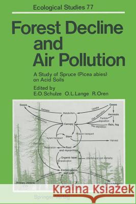 Forest Decline and Air Pollution: A Study of Spruce (Picea Abies) on Acid Soils Schulze, Ernst-Detlef 9783642647956 Springer - książka