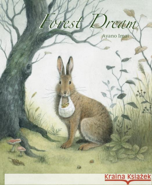 Forest Dream Ayano Imai 9789888341641 Minedition - książka