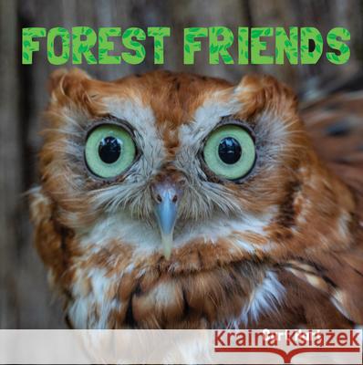 Forest Friends Curt Hart 9781486724055 Flowerpot Press - książka