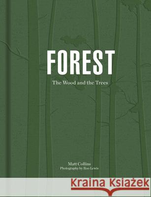 Forest: Walking among trees Matt Collins 9781911595267 HarperCollins Publishers - książka