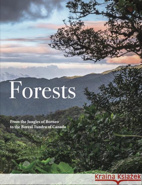 Forests Kieron Connolly 9781838865139 Amber Books - książka