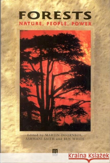 Forests: Nature, People, Power Saith, Ashwani 9780631221883 Blackwell Publishers - książka