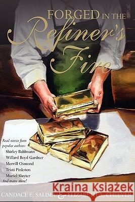 Forged In The Refiner's Fire Cheever, Elizabeth A. 9781438238920 Createspace - książka