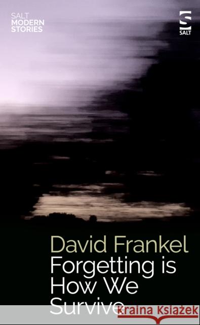 Forgetting is How We Survive David Frankel 9781784633011 Salt Publishing - książka