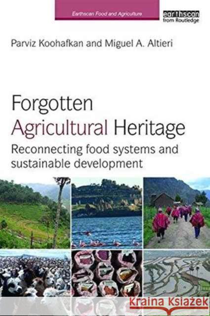 Forgotten Agricultural Heritage: Reconnecting Food Systems and Sustainable Development Parviz Koohafkan Miguel A. Altieri 9781138204157 Routledge - książka