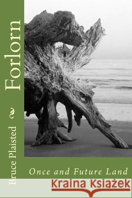 Forlorn: Once and Future Land MR Bruce W. Plaisted 9781493505548 Createspace - książka