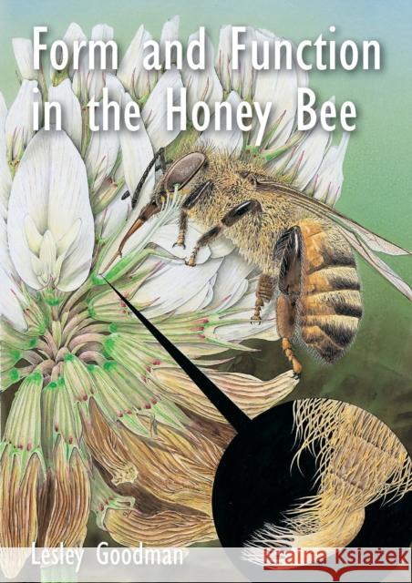 Form and Function in the Honey Bee Lesley Goodman   9781913811112 Ibra & Nbb - książka