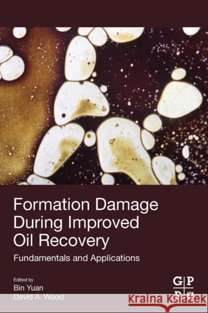 Formation Damage During Improved Oil Recovery: Fundamentals and Applications Bin Yuan David a. Wood 9780128137826 Gulf Professional Publishing - książka