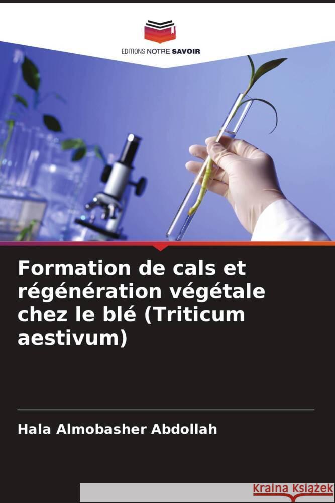 Formation de cals et régénération végétale chez le blé (Triticum aestivum) Abdollah, Hala Almobasher 9786206377597 Editions Notre Savoir - książka