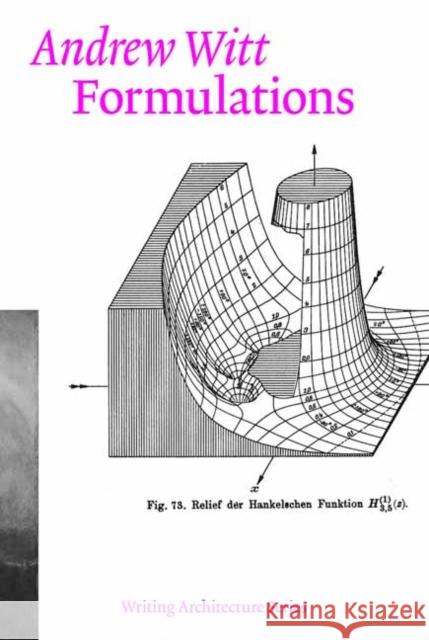 Formulations: Architecture, Mathematics, Culture Andrew Witt 9780262543002 MIT Press Ltd - książka