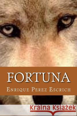Fortuna Enrique Perez Escrich Onlyart Books 9781535402675 Createspace Independent Publishing Platform - książka