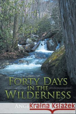 Forty Days in the Wilderness Angela E. Smith 9781532019074 iUniverse - książka