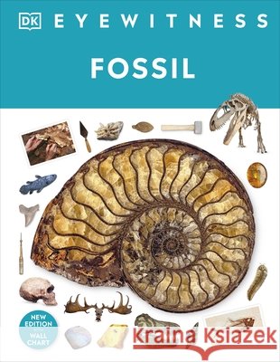 Fossil Dr Paul David Taylor 9780241652770 Dorling Kindersley Ltd - książka