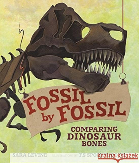 Fossil by Fossil: Comparing Dinosaur Bones Sara Levine T. S. Spookytooth 9781467794893 Millbrook Press - książka