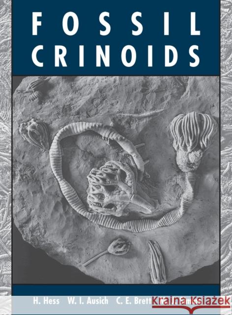 Fossil Crinoids H. Hess W. I. Ausich Carlton E. Brett 9780521450249 Cambridge University Press - książka