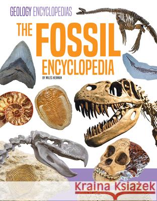 Fossil Encyclopedia Miles Herman 9781098298890 Encyclopedias - książka
