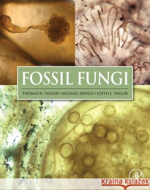 Fossil Fungi Thomas N. Taylor Michael Krings Edith L. Taylor 9780123877314 Academic Press - książka