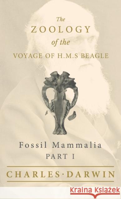 Fossil Mammalia - Part I - The Zoology of the Voyage of H.M.S Beagle Richard Owen 9781528771740 Read Books - książka