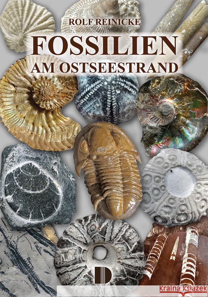 Fossilien am Ostseestrand Reinicke, Rolf 9783944102689 Demmler-Verlag - książka