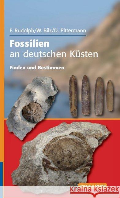 Fossilien an deutschen Küsten : Finden und Bestimmen Rudolph, Frank; Bilz, Wolfgang; Pittermann, Dirk 9783494015903 Quelle & Meyer - książka