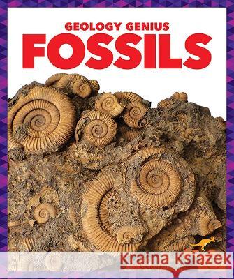 Fossils Rebecca Pettiford 9781624968280 Pogo Books - książka