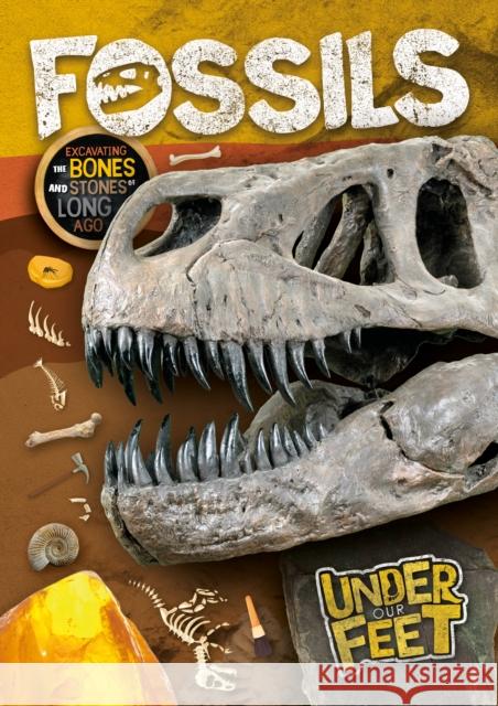 Fossils Kirsty Holmes 9781839271885 BookLife Publishing - książka