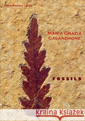 Fossils Maria Grazia Calandrone 9781999590369 Survision Books - książka