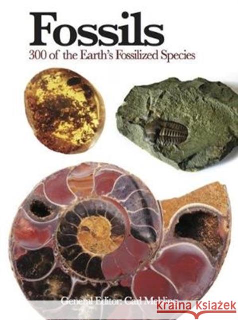 Fossils: 300 of the Earth's Fossilized Species  9781782742586 Amber Books Ltd - książka