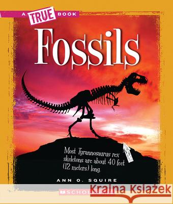 Fossils (a True Book: Earth Science) Squire, Ann O. 9780531262504 Children's Press - książka