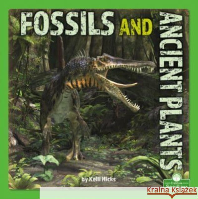 Fossils and Ancient Plants Kelli Hicks 9781039646704 Crabtree Seedlings - książka