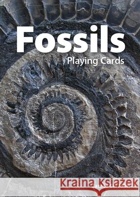 Fossils Playing Cards James S 9781647555351 Adventure Publications - książka