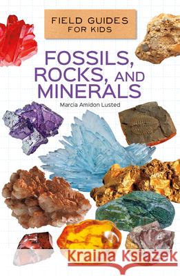 Fossils, Rocks, and Minerals Marcia Amidon Lusted 9781532196966 Abdo Reference - książka