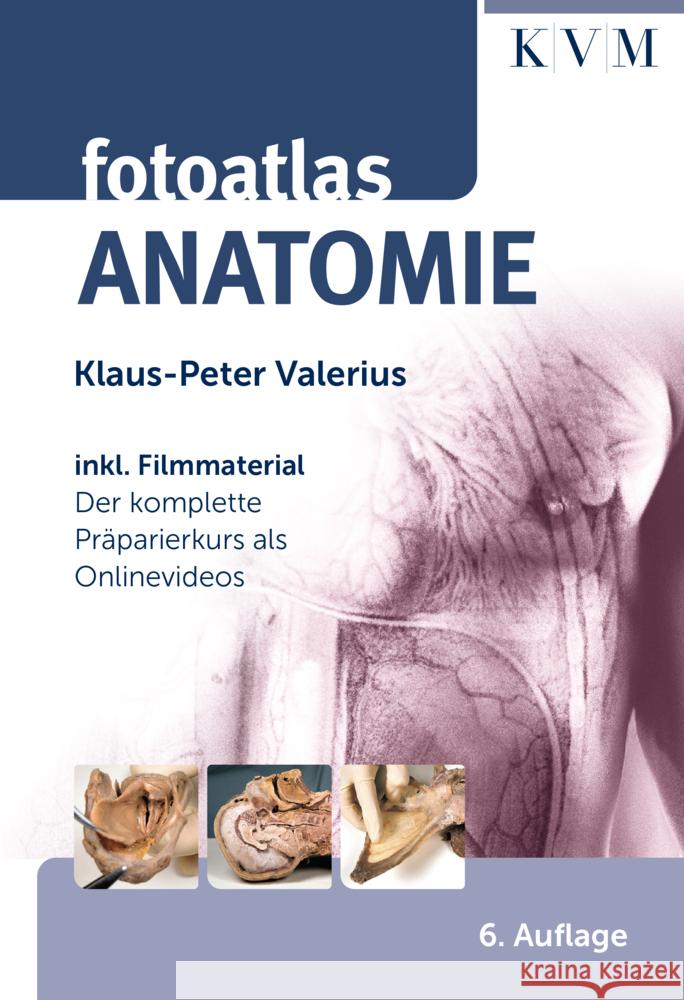 Fotoatlas Anatomie Valerius, Klaus-Peter 9783868677614 Quintessenz, Berlin - książka