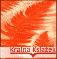 Fotografie vidí povrch Ladislav Sutnar 9788072151943 Torst - książka