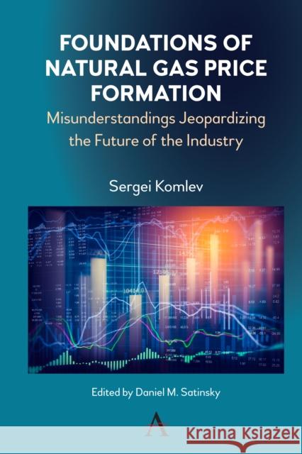 Foundations of Natural Gas Price Formation: Misunderstandings Jeopardizing the Future of the Industry Sergei Komlev Daniel Satinsky 9781785273384 Anthem Press - książka