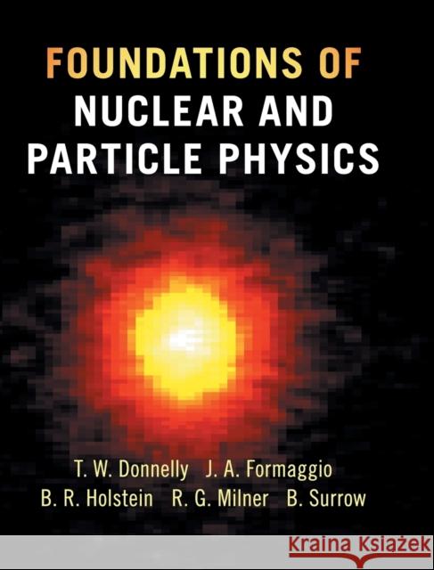 Foundations of Nuclear and Particle Physics T. William Donnelly Joseph A. Formaggio Barry R. Holstein 9780521765114 Cambridge University Press - książka