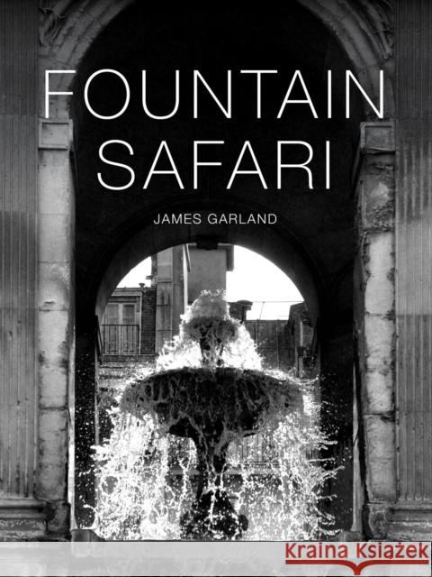 Fountain Safari James Garland 9781961856196 Oro Editions - książka